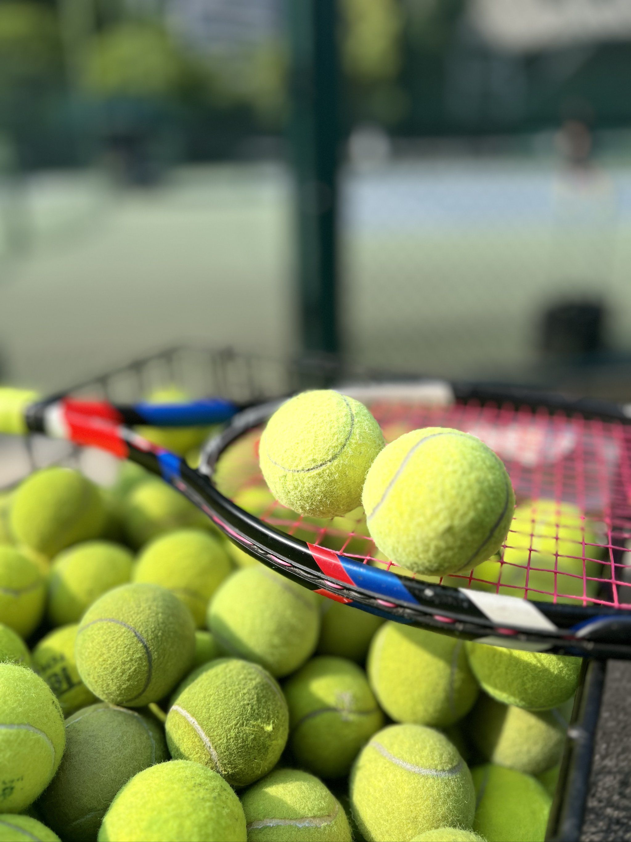 赛事中获得 赛事中获得