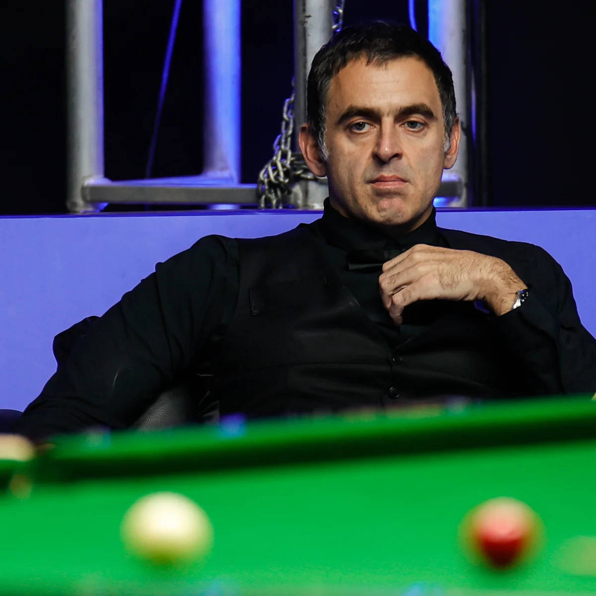 比例逐年攀 比例逐年攀