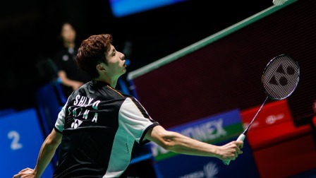 在国际排球 在国际排球